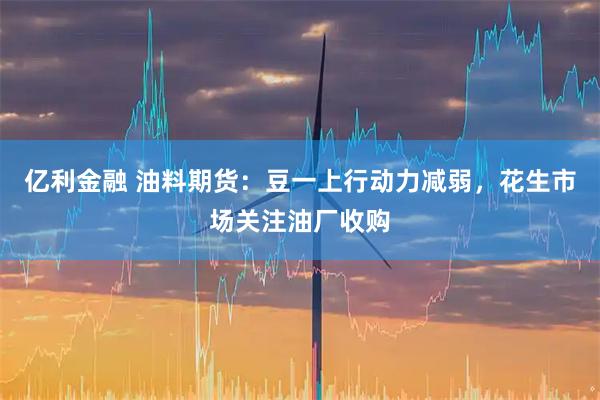 亿利金融 油料期货：豆一上行动力减弱，花生市场关注油厂收购