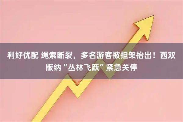 利好优配 绳索断裂，多名游客被担架抬出！西双版纳“丛林飞跃”紧急关停